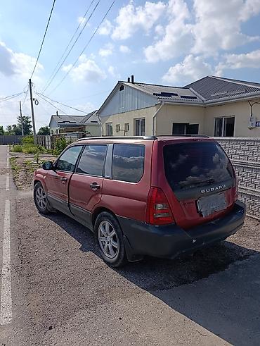 коробка на форестер: Subaru Forester: 2004 г., 2.5 л, Автомат, Бензин, Универсал — 3