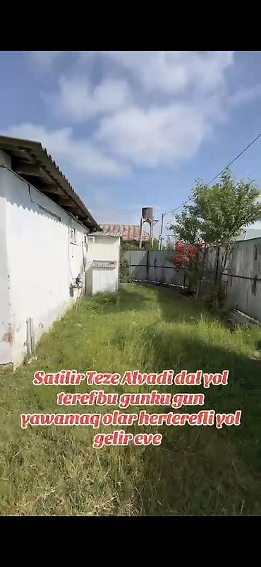 3 otaqlı kiraye evler: Satılır: Masallı r., Təzə Alvadı kəndində satılıq həyət evi / torpaq — 3