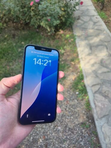 iphone 14 mini: IPhone 12 Pro, 512 GB, Pacific Blue, Barmaq izi, Face ID