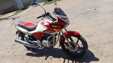 сколько стоит мотоцикл в бишкеке: Спортбайк Honda, 150 куб. см, Бензин, Чоңдор үчүн, Колдонулган