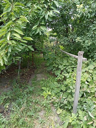 Продажа коттеджей и домов: Продаю дом,5 комнат,+ кухня+ванная комната с туалетом в доме, 2 — 23
