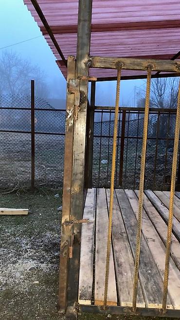 Товары и оборудование для с/х животных: Койкана койго жана козуга ылайыкташкан краскасын кылып берем 8 баш — 7