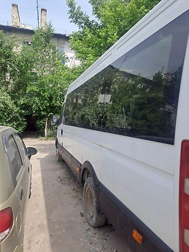 ивеко пассажирский: Iveco Daily: 2010 г., Бус — 2