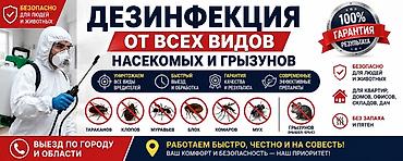 Дезинфекция от всех видов насекомых и грызунов - Уничтожение