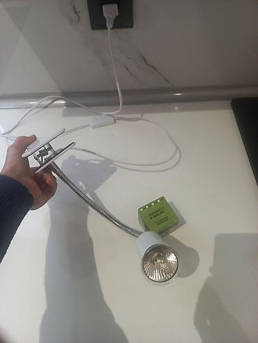 uvb lampa: Salam tutacağı satılır 45 azn - Reptil və amfibiyaların sağlamlığı — 2