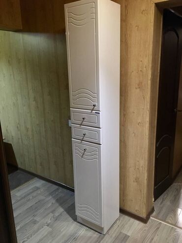 купить кухонный шкафчик напольный: Жуунуучу бөлмө үчүн шкаф, Колдонулган, Күзгүсүз, ЛДСП