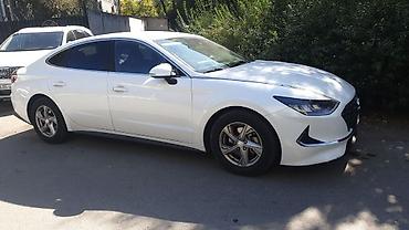 byd han: Hyundai Sonata: 2019 г., Седан — 4