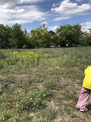 əmlak az ismayıllı: 10 sot, Tikinti, Mülkiyyətçi, Kupça (Çıxarış) — 9
