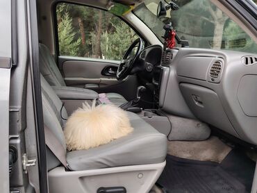 Chevrolet: Chevrolet Trailblazer: 4.2 l | 2006 il 350000 km Ofrouder/SUV — 11