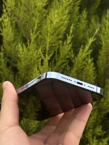 Apple iPhone: IPhone 13 Pro Max, 128 GB, Sierra Blue, Face ID — 15