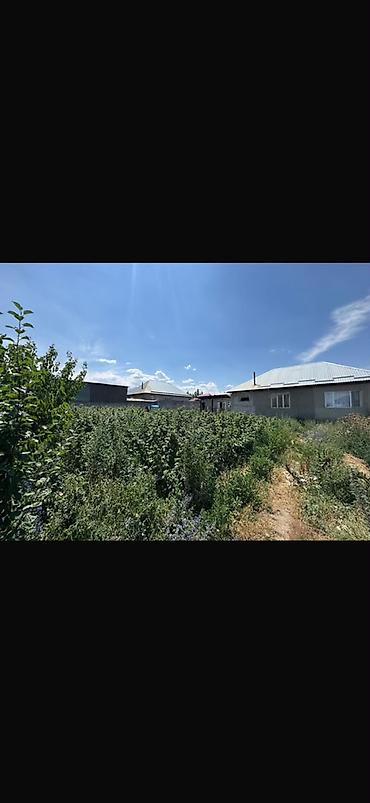 Продажа коттеджей и домов: 🏡✨ ПРОДАЁТСЯ ДОМ С БИЗНЕСОМ! ✨🏡 📍 Село Арчалы 🏠 4 комнаты 📐 Площадь — 14