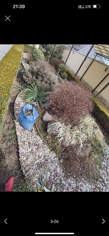 Дворники, садовники: 🌱Я садовник приходящий раз в неделю уборку сада генеральный уборка at lalafo.kg — 3 Дворники, садовники: 🌱Я садовник приходящий раз в неделю уборку сада генеральный уборка — 3