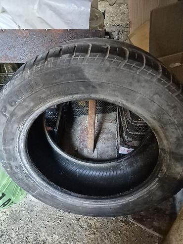 cd disklər: Pirelli P6000 təkər - Model: Pirelli P6000 - Naxış tipi: istiqamətli — 2
