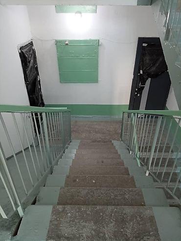 Үй жана бакча: Дубалдарды сырдоо, Шыптарды сырдоо, Терезелерди сырдоо, 6 жылдан ашык тажрыйба — 3