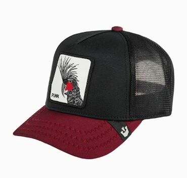 zimski kacketi: Cap, color - Black