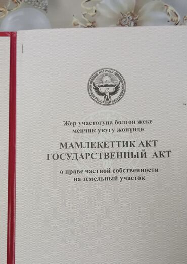 ала тоо жер: 20 соток, Сатып алуу-сатуу келишими