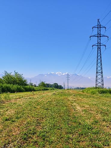Үй жаныбарлары: Продаём тюки РАЗНОТРАВЬЯ Укос: 3 укос 2026 год Кол-во: ~250 штук — 2