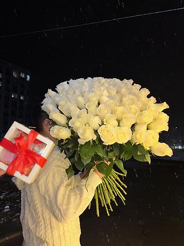пионы: Здравствуйте, уважаемые цветочники! Если вам нужны цветы оптом — в — 8