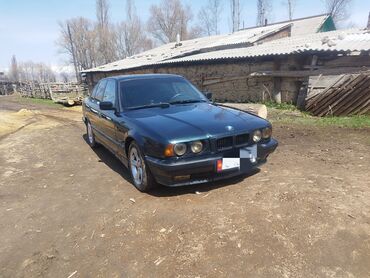 бемв е34: BMW 520: 1995 г.