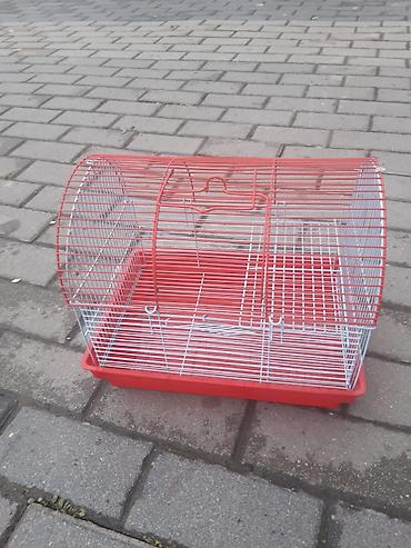 Tutuquşları: Bala Valnisti 9azn Boş qəfəs 9azn 1 bala quş +Qəfəs +Suqabı+Yemqabı — 26