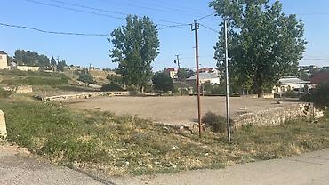 samaxida ev satilir: 10 sot, Tikinti, Mülkiyyətçi, Kupça (Çıxarış) — 6