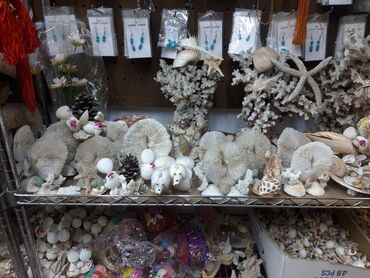 австралийский рак: Ракушки кораллы кокосы бусы различные изделия из ракушек ракушки
