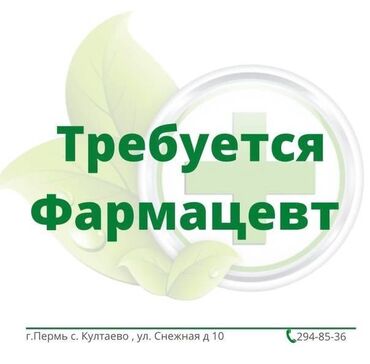 Фармацевты, провизоры: Фармацевт