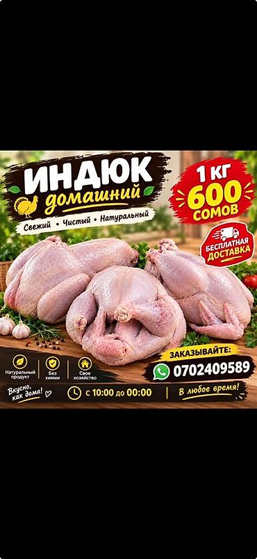 купить индюка мясо: Домашний индюк — натуральный продукт без химии - Целые тушки индюка — 2