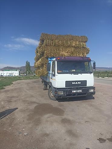 ман 8 180: Грузовой бортовой MAN - Марка/модель: MAN, бортовой грузовик. - — 6