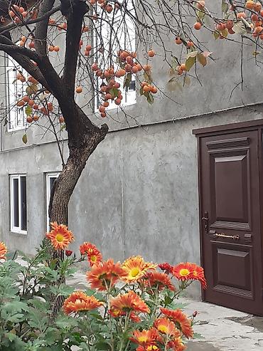 Günlük kirayə evlər: 200 kv. m, 3 otaqlı, Qaz, İşıq, Su — 12