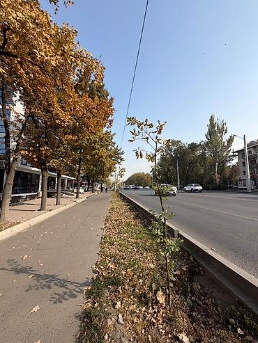 Продажа квартир: 1 комната, 31 м², Хрущевка, 3 этаж, Косметический ремонт — 3