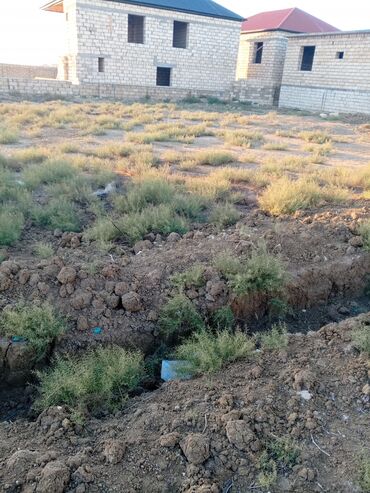 Torpaq sahələrinin satışı: 5 sot, Kənd təsərrüfatı, Mülkiyyətçi, Kupça (Çıxarış) — 9