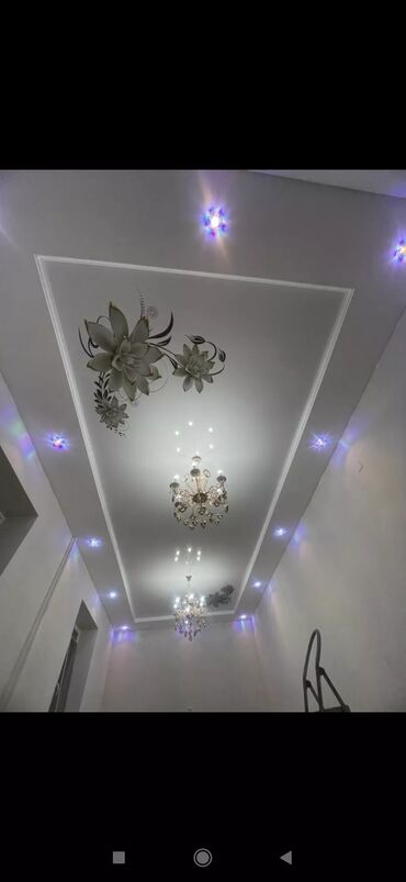 фикус али: Керме шыптар Жылтырабаган, 3D потолоктор, Жылтырак Акысыз ченөө, Кепилдиги, Монтаждоо