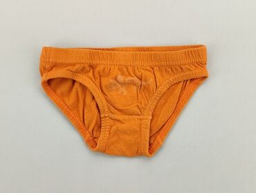 kolorowe majtki: Panties, Fox&Bunny, 5-6 years, condition - Good