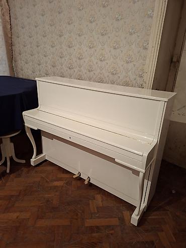 zimmermann: Piano, Zimmermann, Akustik, Yeni, Pulsuz çatdırılma — 2