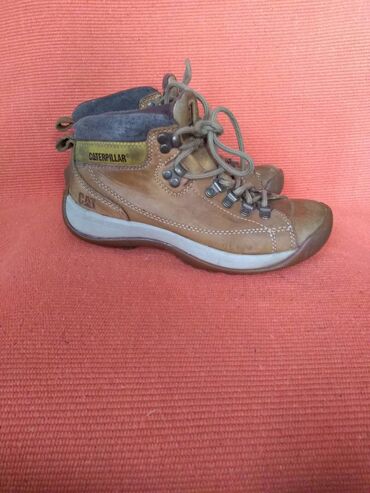 Gležnjače: Gležnjače, 38.5 na lalafo.rs — 11 Gležnjače: Gležnjače, 38.5 — 11