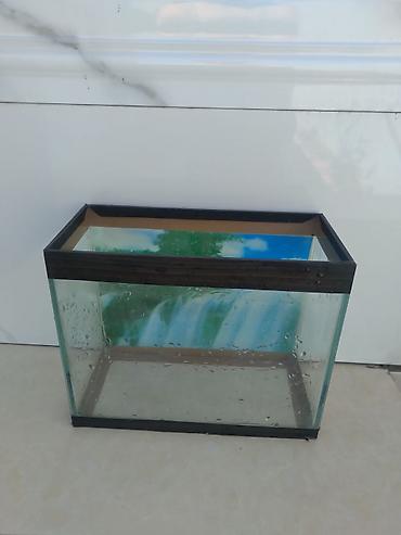 akvarium aksesuarlari: Baliqlar űçűn akvarium — 2