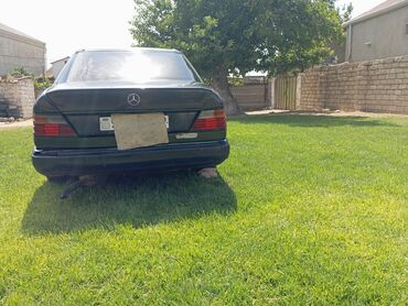 Mercedes-Benz: Mercedes-Benz 250: 2.5 l | 1991 il Van body type — 8