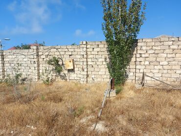 Torpaq sahələrinin satışı: 30 sot, Mülkiyyətçi, Kupça (Çıxarış), Bələdiyyə -da lalafo.az — 14 Torpaq sahələrinin satışı: 30 sot, Mülkiyyətçi, Kupça (Çıxarış), Bələdiyyə — 14