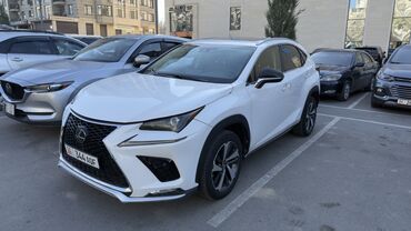 велосипеды лексус: Lexus NX: 2018 г., 2.5 л, Автомат, Бензин, Кроссовер