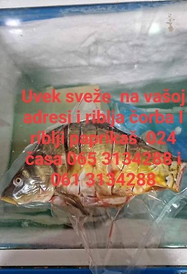 Meso, riba, živinsko meso: Prodaja pržene ribe, riblje čorbe i riblji paprikaš — 5
