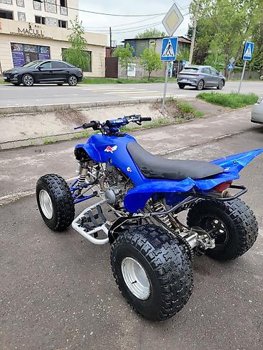 прямотое: Квадроцикл Yamaha, Бензин, 350 куб. см, Взрослый — 3