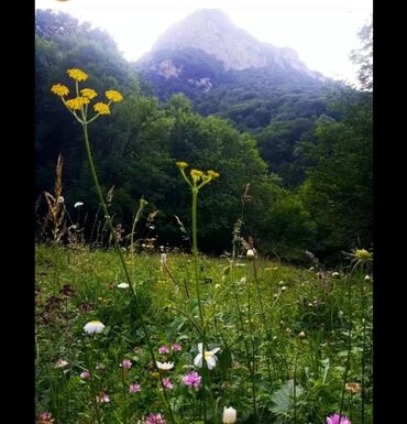 Günlük kirayə evlər: 90 kv. m, 3 otaqlı, İnternet, Telefon, Qaz — 24