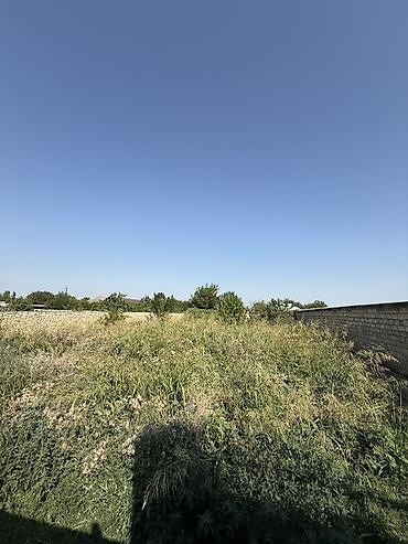 Torpaq sahələrinin satışı: 32 sot, Kənd təsərrüfatı, Barter mümkündür, Kupça (Çıxarış) — 10