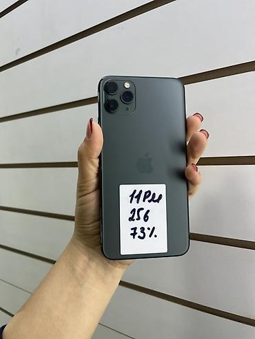 IPhone 11 Pro Max, 256 ГБ, цвет Space Gray. Характеристики и детали с