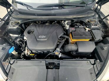 Hyundai: Hyundai Veloster: 1.6 l | 2016 il Hetçbek — 6