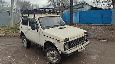 аренда нивы: ВАЗ (ЛАДА) 4x4 Нива: 1994 г., 1.6 л, Механика, Бензин, Внедорожник — 2