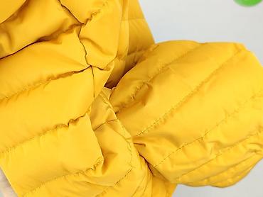 warehouse kurtka: Tokyo Laundry, Kurtka przejściowa damska, rozmiar S — 7