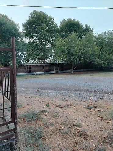 Kənd təsərüfatı heyvanları üçün digər mallar: Ferma/təsərrüfat kompleksi - Heyvandarlıq üçün tikili və açıq — 6
