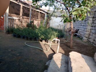 Həyət evləri və villaların satışı: Balaxanı qəs. 4 otaqlı, 200 kv. m, Kredit yoxdur, Orta təmir -da lalafo.az — 9 Həyət evləri və villaların satışı: Balaxanı qəs. 4 otaqlı, 200 kv. m, Kredit yoxdur, Orta təmir — 9